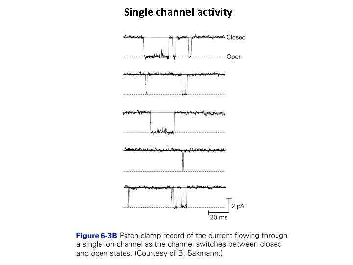 Single channel activity 