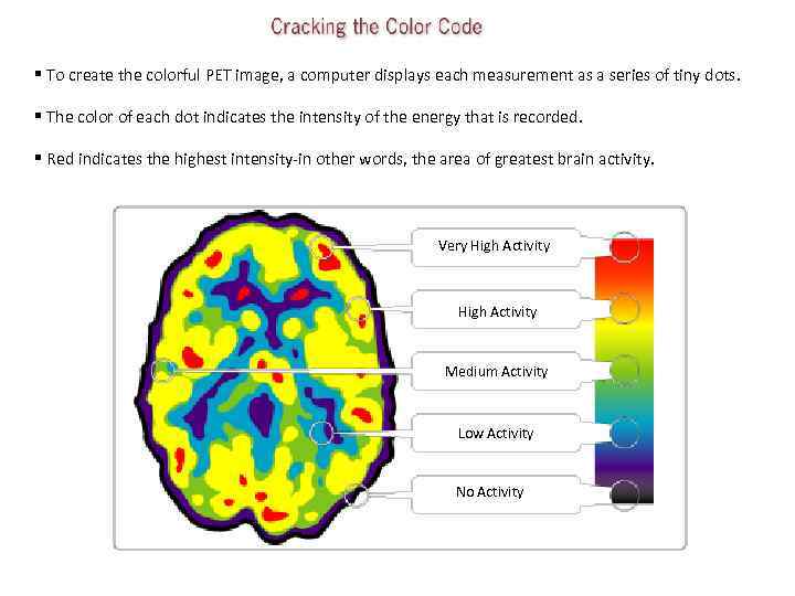 § To create the colorful PET image, a computer displays each measurement as a