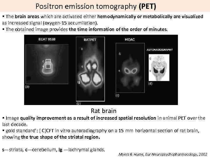 Positron emission tomography (PET) § The brain areas which are activated either hemodynamically or