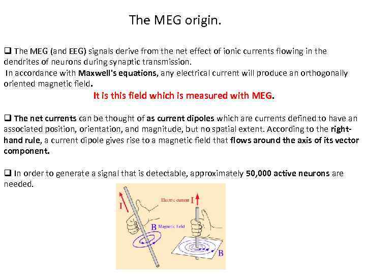 The MEG origin. q The MEG (and EEG) signals derive from the net effect