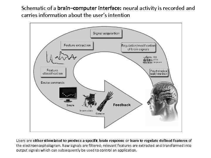 Schematic of a brain–computer interface: neural activity is recorded and carries information about the