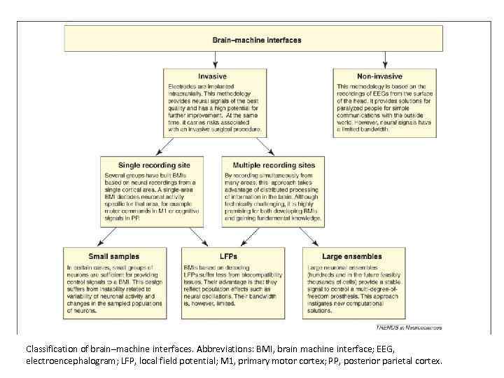 Classification of brain–machine interfaces. Abbreviations: BMI, brain machine interface; EEG, electroencephalogram; LFP, local field