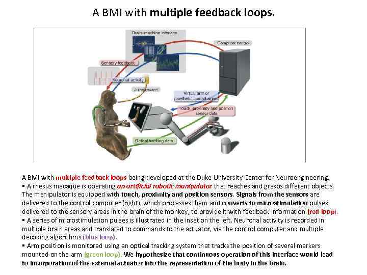 A BMI with multiple feedback loops. A BMI with multiple feedback loops being developed