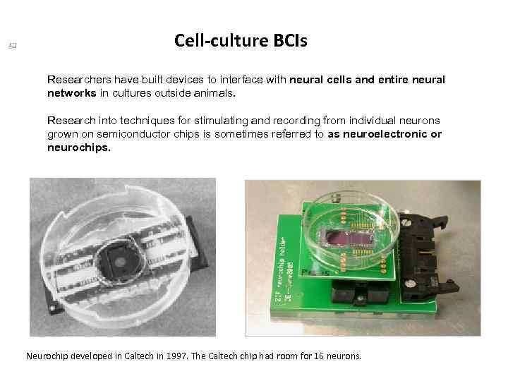 Cell-culture BCIs Researchers have built devices to interface with neural cells and entire neural