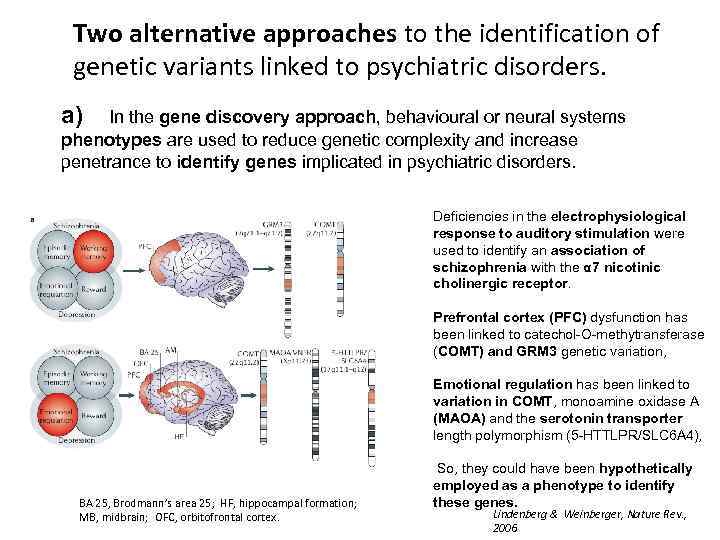 Two alternative approaches to the identification of genetic variants linked to psychiatric disorders. a)