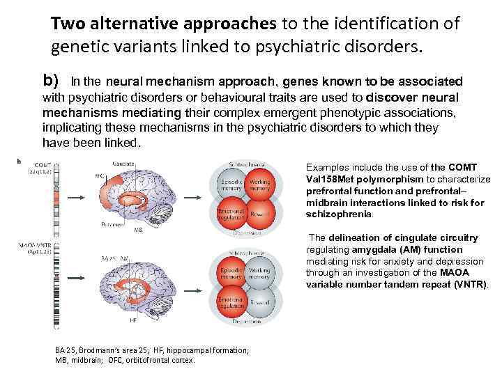 Two alternative approaches to the identification of genetic variants linked to psychiatric disorders. b)