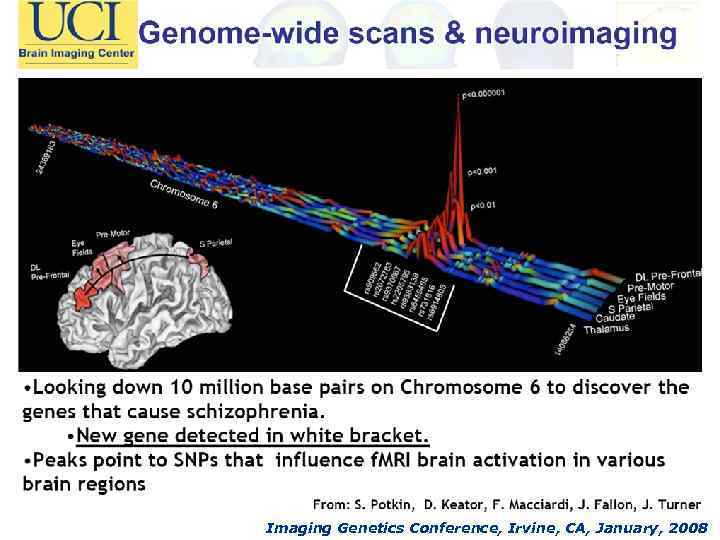 Imaging Genetics Conference, Irvine, CA, January, 2008 