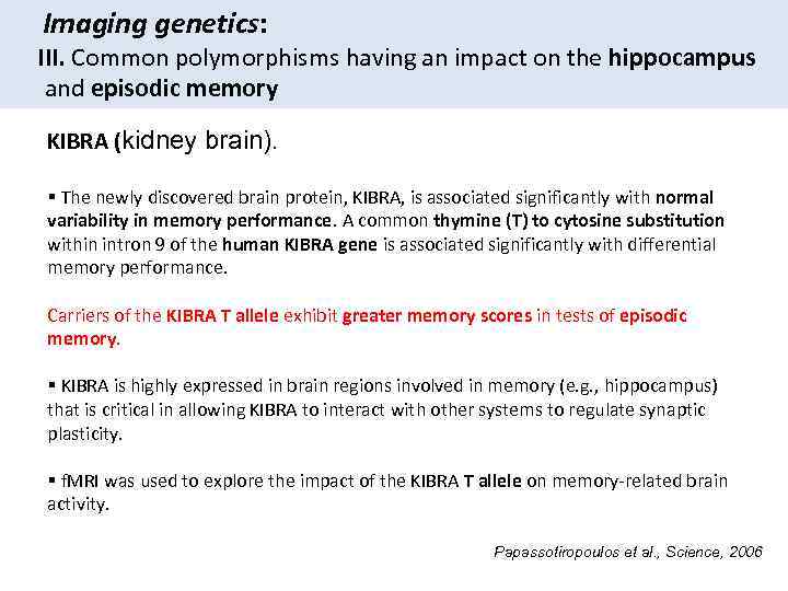 Imaging genetics: III. Common polymorphisms having an impact on the hippocampus and episodic memory