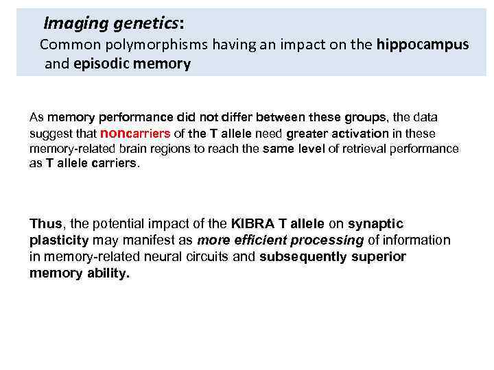 Imaging genetics: Common polymorphisms having an impact on the hippocampus and episodic memory As