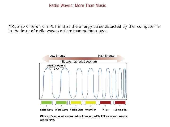 MRI also differs from PET in that the energy pulse detected by the computer