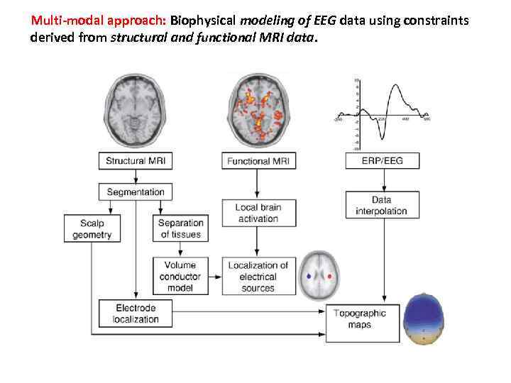 Multi-modal approach: Biophysical modeling of EEG data using constraints derived from structural and functional