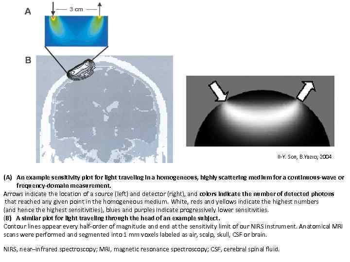 Il-Y. Son, B. Yazıcı, 2004 (A) An example sensitivity plot for light traveling in