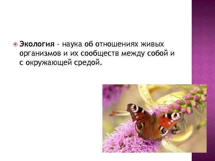  Экология - наука об отношениях живых организмов и их сообществ между собой и