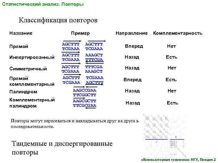 Статистический анализ. Повторы Классификация повторов Название Прямой Инвертированный Симметричный Прямой комплементарный Палиндром Комплементарный палиндром