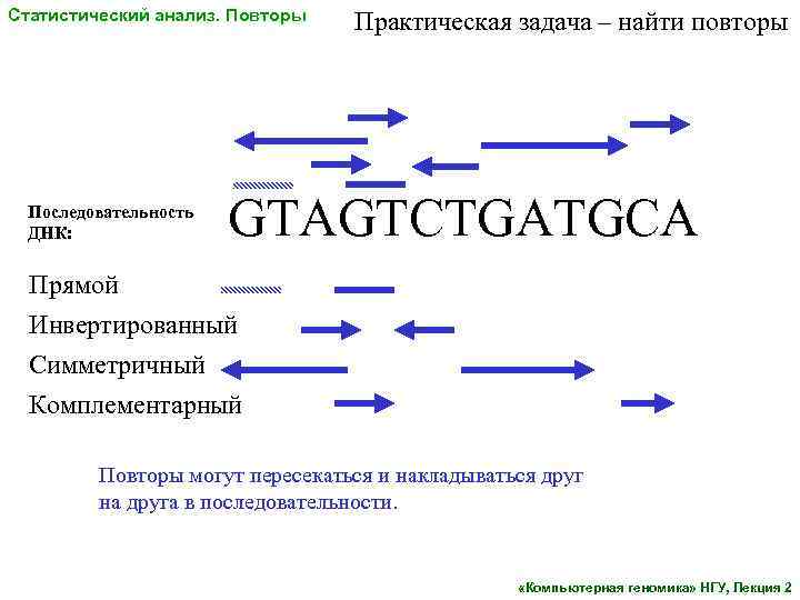 Статистический анализ. Повторы Последовательность ДНК: Практическая задача – найти повторы GTAGTCTGATGCA Прямой Инвертированный Симметричный