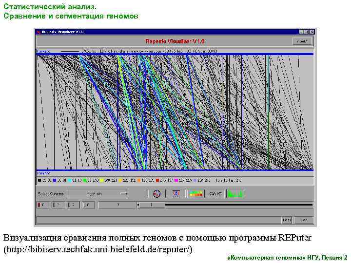 Статистический анализ. Сравнение и сегментация геномов Визуализация сравнения полных геномов с помощью программы REPuter