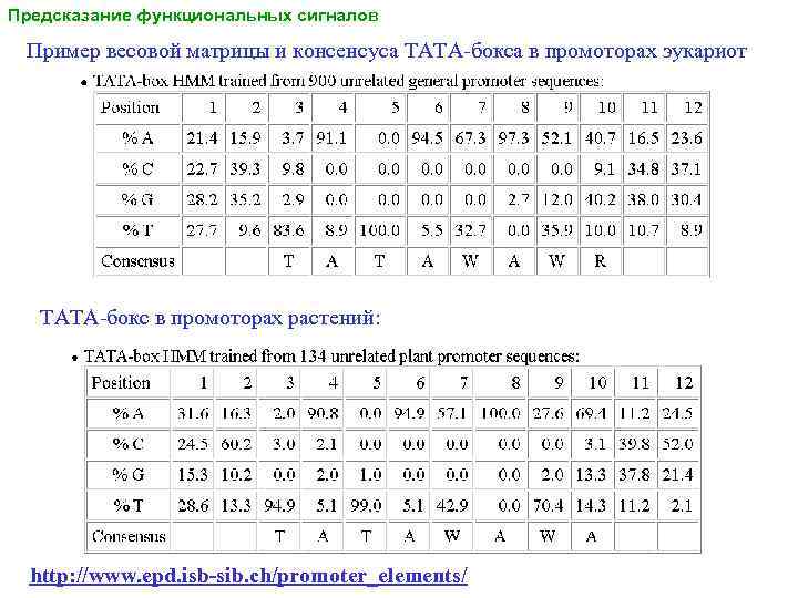 Предсказание функциональных сигналов Пример весовой матрицы и консенсуса TATA-бокса в промоторах эукариот TATA-бокс в