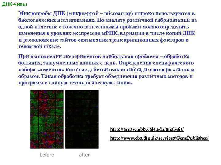 ДНК-чипы Микропробы ДНК (микроэррэй – microarray) широко используются в биологических исследованиях. По анализу различной