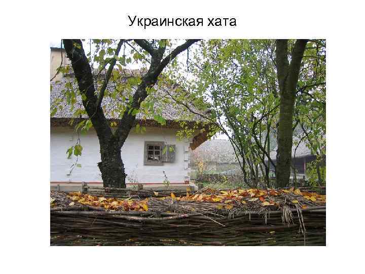 Украинская хата 