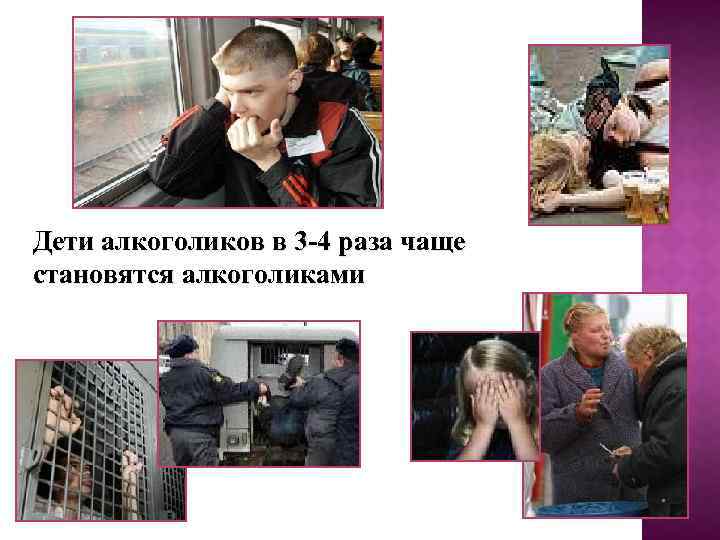 Дети алкоголиков в 3 -4 раза чаще становятся алкоголиками 