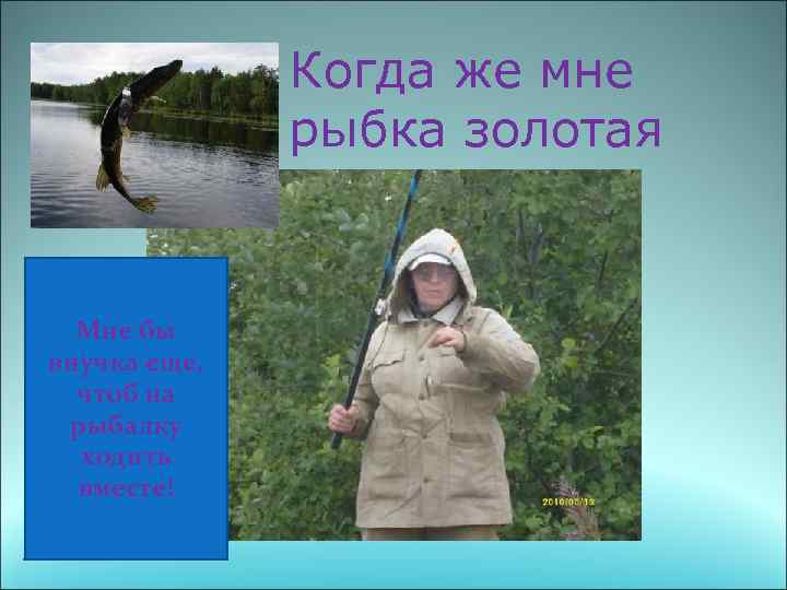 Когда же мне рыбка золотая попадется? Мне бы внучка еще, чтоб на рыбалку ходить