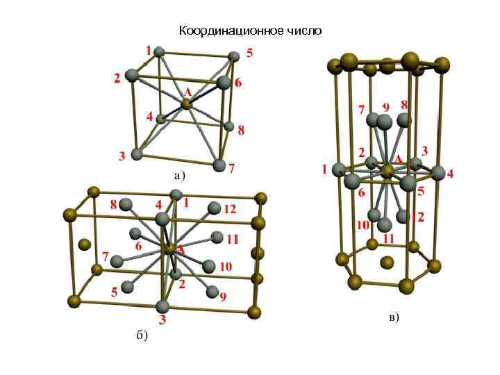 Координационное число 