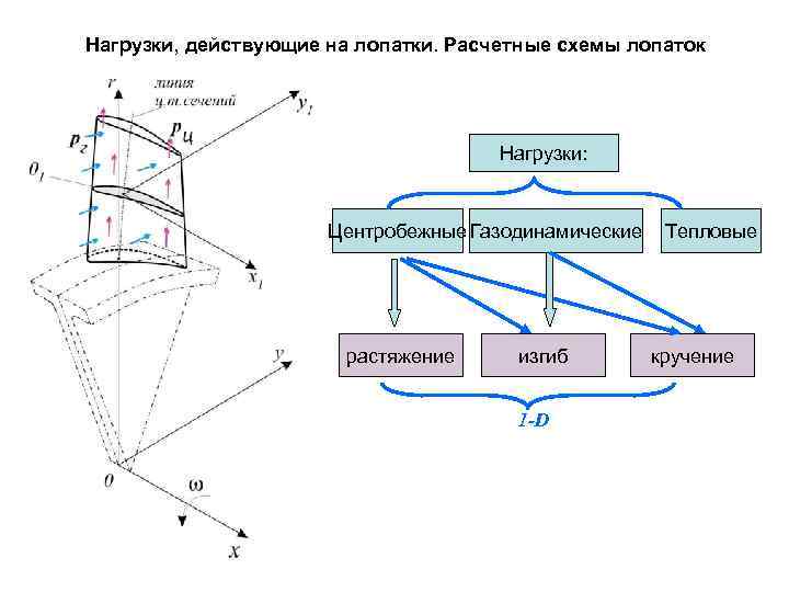 Нагрузки, действующие на лопатки. Расчетные схемы лопаток Нагрузки: Центробежные Газодинамические растяжение изгиб 1 -D
