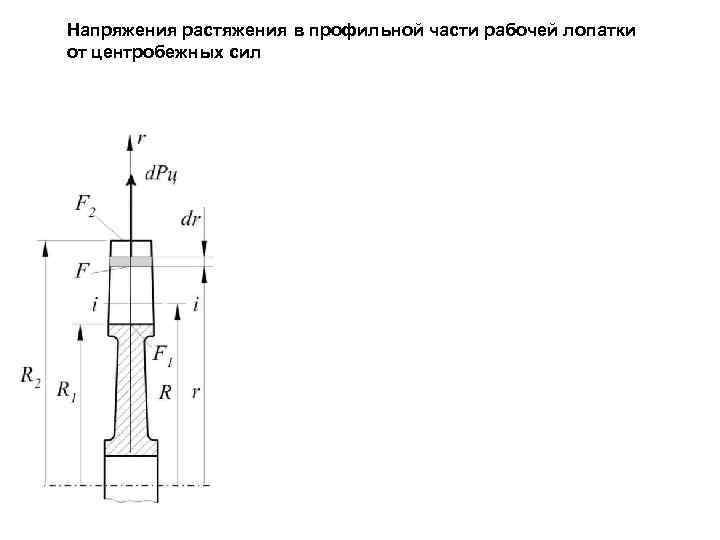 Напряжения растяжения в профильной части рабочей лопатки от центробежных сил 