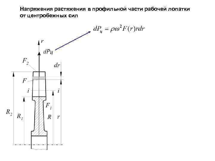 Напряжения растяжения в профильной части рабочей лопатки от центробежных сил 