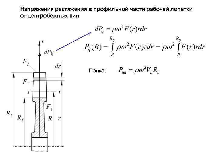 Напряжения растяжения в профильной части рабочей лопатки от центробежных сил Полка: 