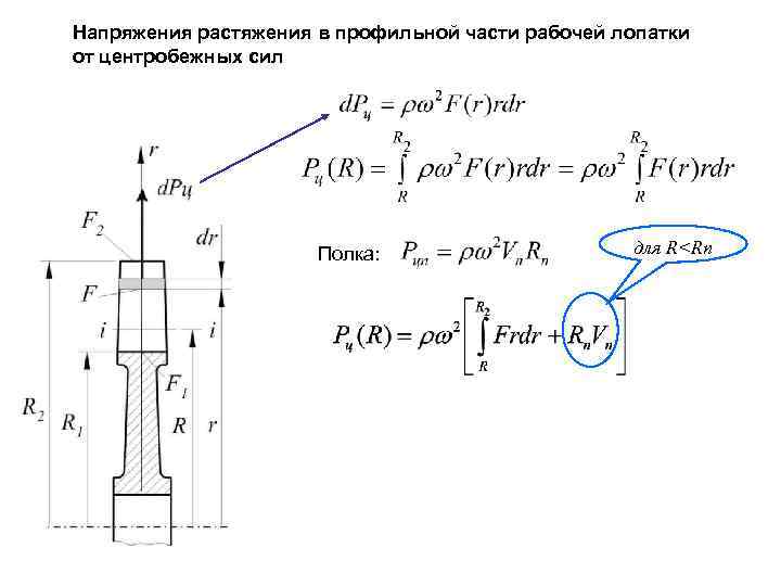 Напряжения растяжения в профильной части рабочей лопатки от центробежных сил Полка: для R<Rп 