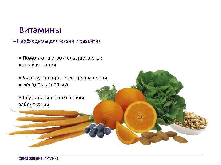 Витамины – Необходимы для жизни и развития • Помогают в строительстве клеток костей и
