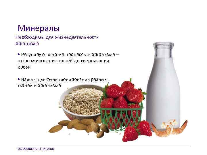 Минералы Необходимы для жизнедеятельности организма • Регулируют многие процессы в организме – от формирования