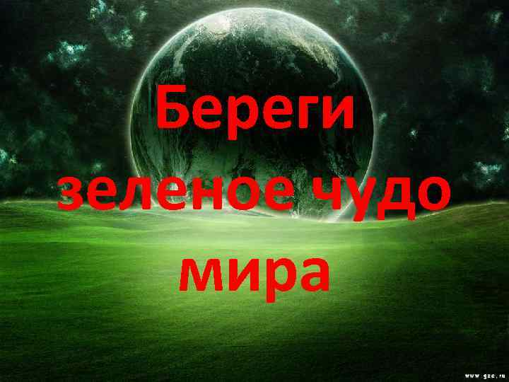 Береги зеленое чудо мира 