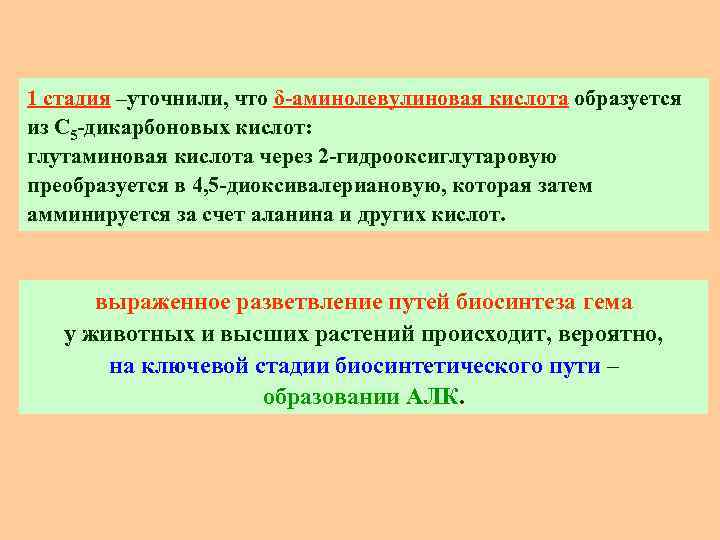 1 стадия –уточнили, что δ-аминолевулиновая кислота образуется из С 5 -дикарбоновых кислот: глутаминовая кислота