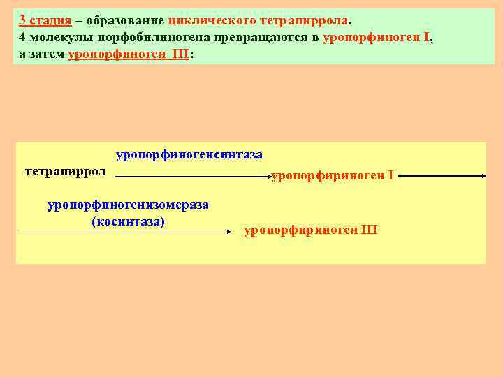 3 стадия – образование циклического тетрапиррола. 4 молекулы порфобилиногена превращаются в уропорфиноген I, а