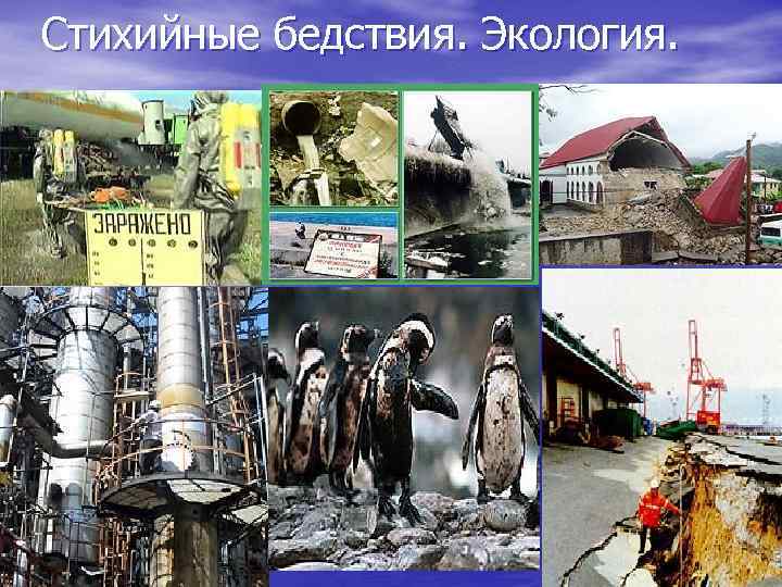 Стихийные бедствия. Экология. 