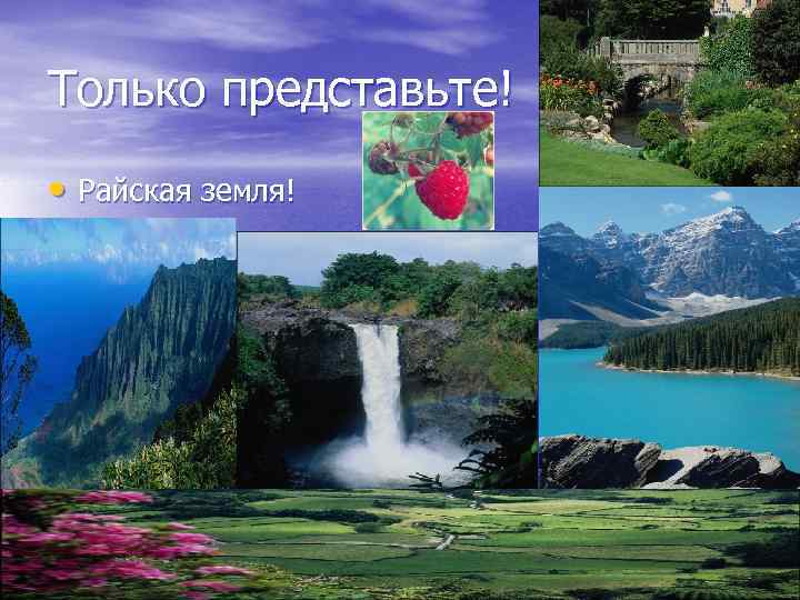 Только представьте! • Райская земля! 