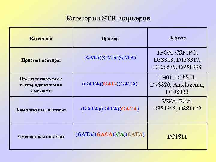 Категории STR маркеров Категория Простые повторы с неупорядоченными аллелями Пример Локусы (GATA)(GATA) TPOX, CSF