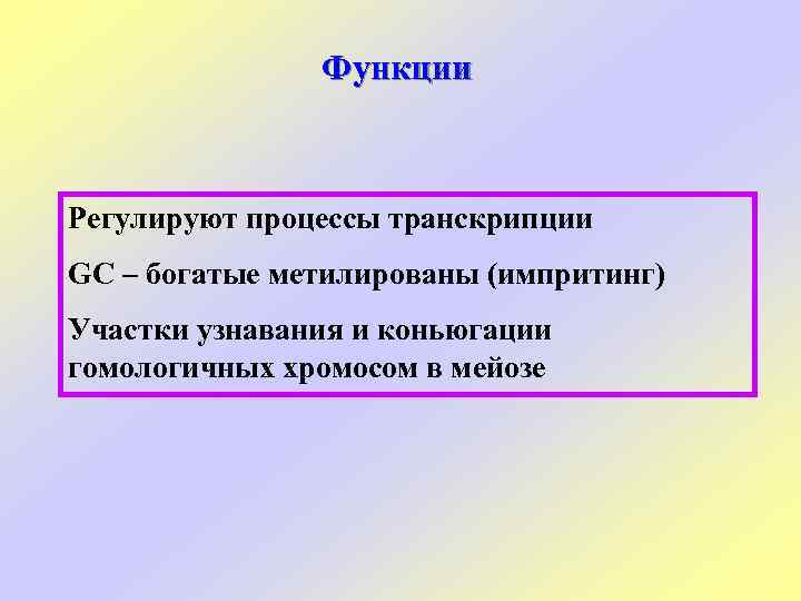 Функции Регулируют процессы транскрипции GC – богатые метилированы (импритинг) Участки узнавания и коньюгации гомологичных