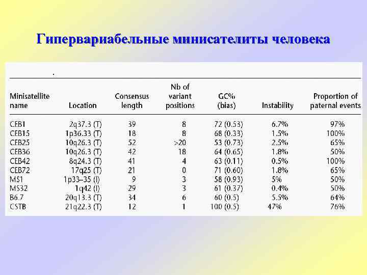 Гипервариабельные минисателиты человека 