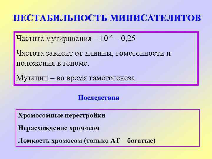 НЕСТАБИЛЬНОСТЬ МИНИСАТЕЛИТОВ Частота мутирования – 10 -4 – 0, 25 Частота зависит от длинны,