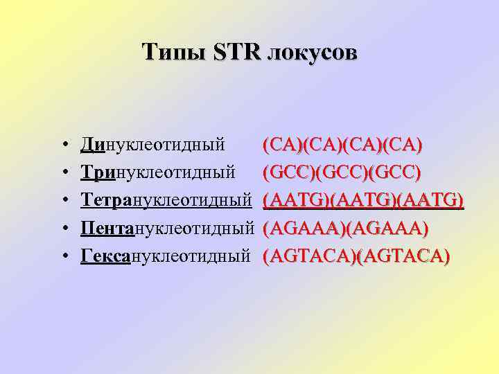 Типы STR локусов • • • Динуклеотидный Тринуклеотидный Тетрануклеотидный Пентануклеотидный Гексануклеотидный (CA)(CA) (GCC)(GCC) (AATG)(AATG)