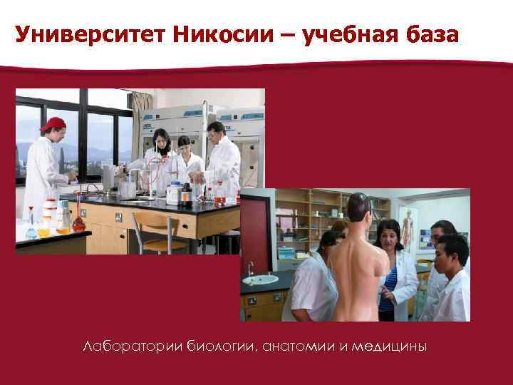 Университет Никосии – учебная база Лаборатории биологии, анатомии и медицины 
