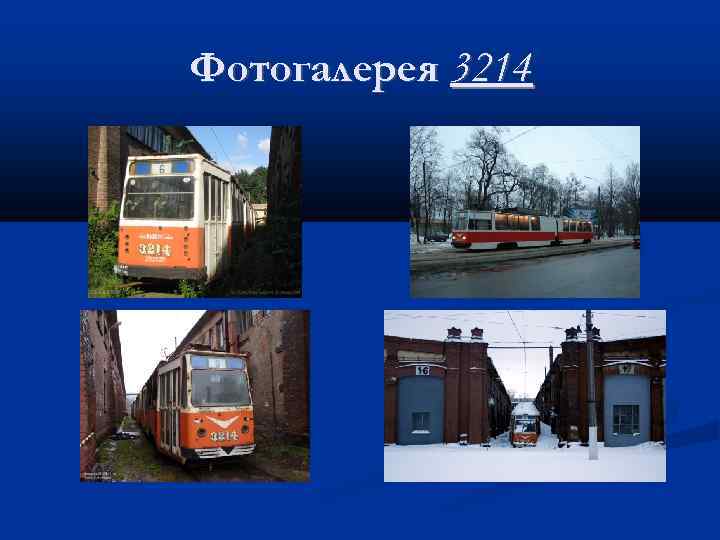 Фотогалерея 3214 