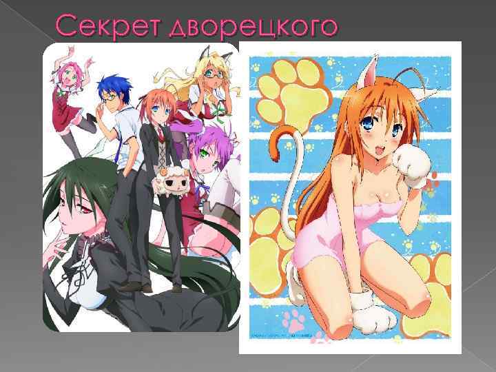 Секрет дворецкого 