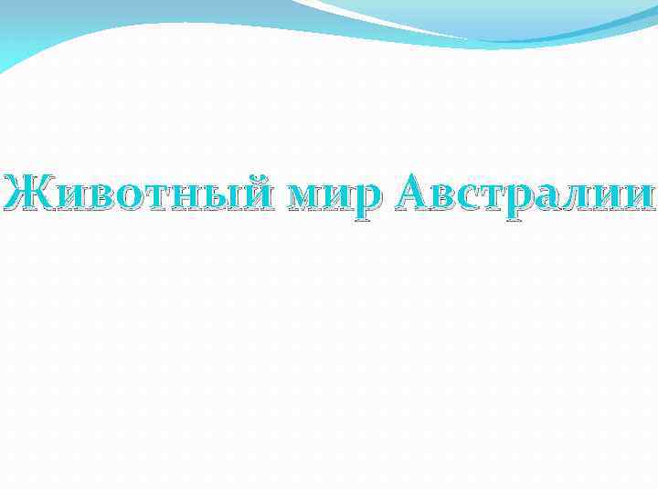 Животный мир Австралии 