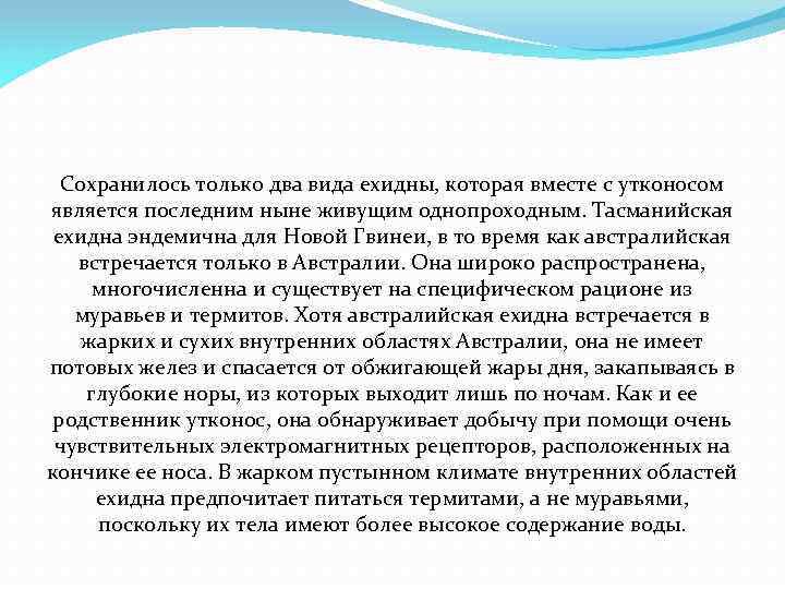 Сохранилось только два вида ехидны, которая вместе с утконосом является последним ныне живущим однопроходным.