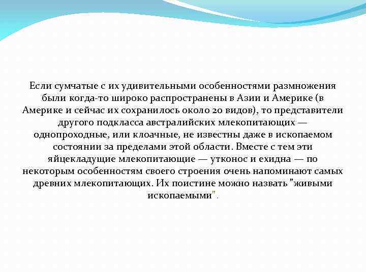 Если сумчатые с их удивительными особенностями размножения были когда-то широко распространены в Азии и