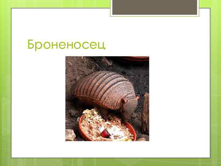 Броненосец 